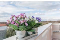 Family friendly Apt with a pool  Apartment 1 – Apt .Rosa foto 2