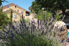 Appartements Dumičić Apartment 3 – A6 donji foto 3