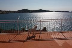 Appartements Bebe Apartment 1 – terasa foto 2