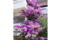 Appartements Ražanj (Appartements Soldić) Apartment 2 – A3 foto 4