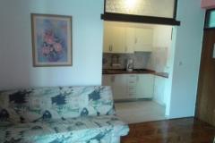 Vila Salvia Apartment 1 – Apart.101 foto 3