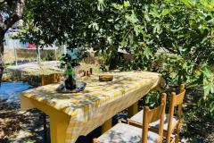 Beach Haus Apartment 1 – GARDEN foto 3