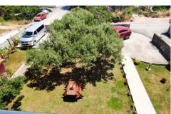 Appartements Villa Magnolija Apartment 3 – apartman 3 foto 4