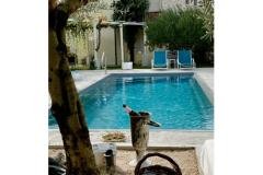 Villa Dube Slano/ villa mit Pool Apartment 4 – studio foto 1