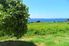 Summerhouse Belomo Apartment 1 – Belomo foto 3