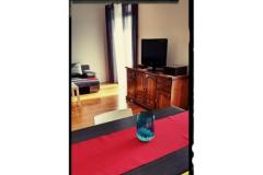 Lu-Do Ferienwohnungen Apartment 1 – One foto 5