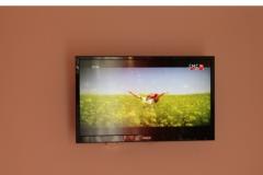 Ferienwohnungen Love Tučepi Apartment 3 – NARANČASTI foto 5