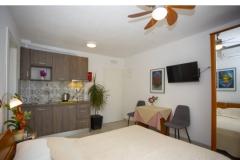Pension Haus Kovač Zimmer 2 – Studio 3 foto 3