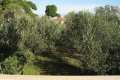 Appartements Ante Apartment 1 – A1 foto 5
