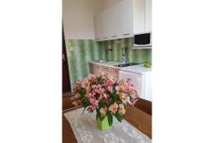Appartements Branko Vidaković Apartment 4 – Apartman 4 foto 4