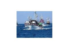 Apartment Matija Apartment 1 – Matija foto 3