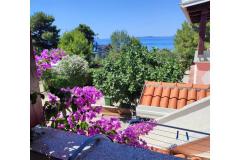 Appartements Delfin Apartment 1 – 1.kat foto 1