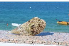 Appartements Por Apartment 2 – Dvosobni foto 2