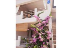 Appartements Maja Apartment 1 – A2 foto 1