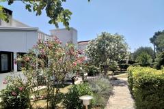 Appartements Budija / Lavanda Apartment 1 – Lavanda 1 foto 2