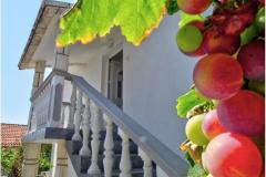 Zoka Apartment 3 – DACA-A2 foto 4