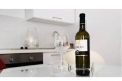 Appartements Udovičić Apartment 2 – App.1(2+2) foto 3