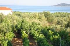 Antonela  Apartment 4 – Seaview D foto 4