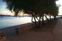 Kiwi Haus Apartment 1 – Rada foto 1