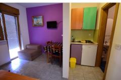 Pension Haus Hrga Apartment 17 – Apt 2+1/11 foto 1