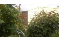Appartements DANI Apartment 5 – HomeM. M4 foto 5