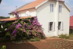 Haus Branka Apartment 1 – Kuća foto 1