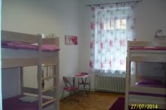 Chameleon hostel Zimmer 2 foto 1