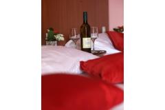 Hotel Zagi Zimmer 3 – Trokrevetn foto 3