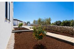 Dalma Park Apartment 1 – Natura Lux foto 3