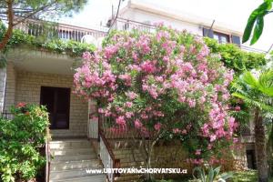 Appartements  IVAN   – Vodice
