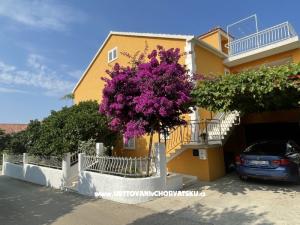 Appartements  Ante