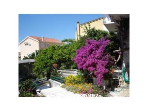 Appartements - Minka i Vite