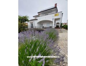 Haus Antica 