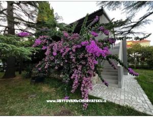 Flowers Appartement Medulin, Fucane 2