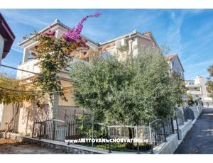 Appartements Mira