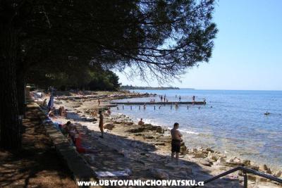 Appartements San Pelegrin