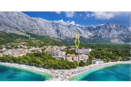 Ruža Baska Voda Kroatien