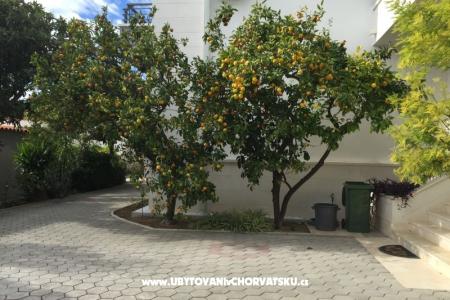 Haus Grazia foto 5