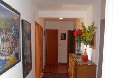 Appartements Peran foto 5