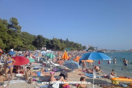 VILLA BERNARD..150 m plaža DRAŽICA foto 2