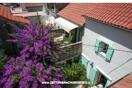 Haus Vesela foto 2