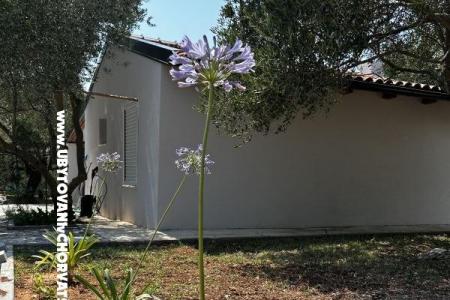 Primorje – Biograd Kroatien