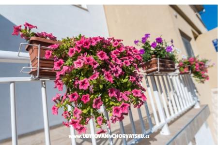 Appartements Galeb foto 3