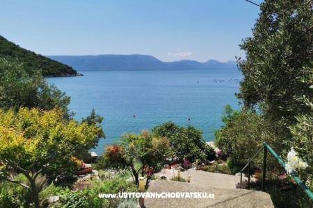Ferienwohnungen Maja Blace Kroatien