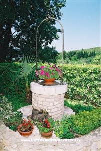 Haus Pipinic foto 4