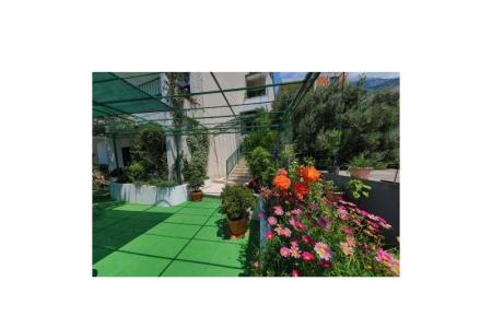 Appartements Ribičić Brela foto 4