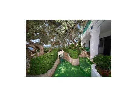 Appartements Ribičić Brela foto 5