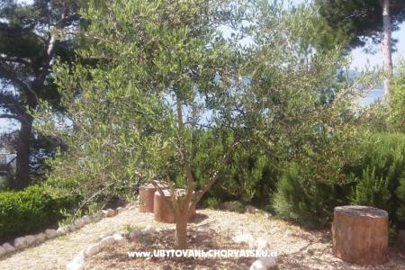 Appartements Vesna  - Brela foto 5