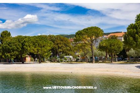 Beach Center foto 5