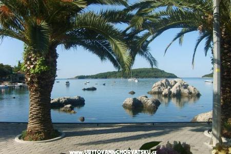 Ferienwohnungen Vidak foto 3